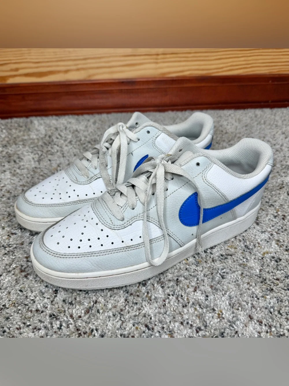 Nike men’s court